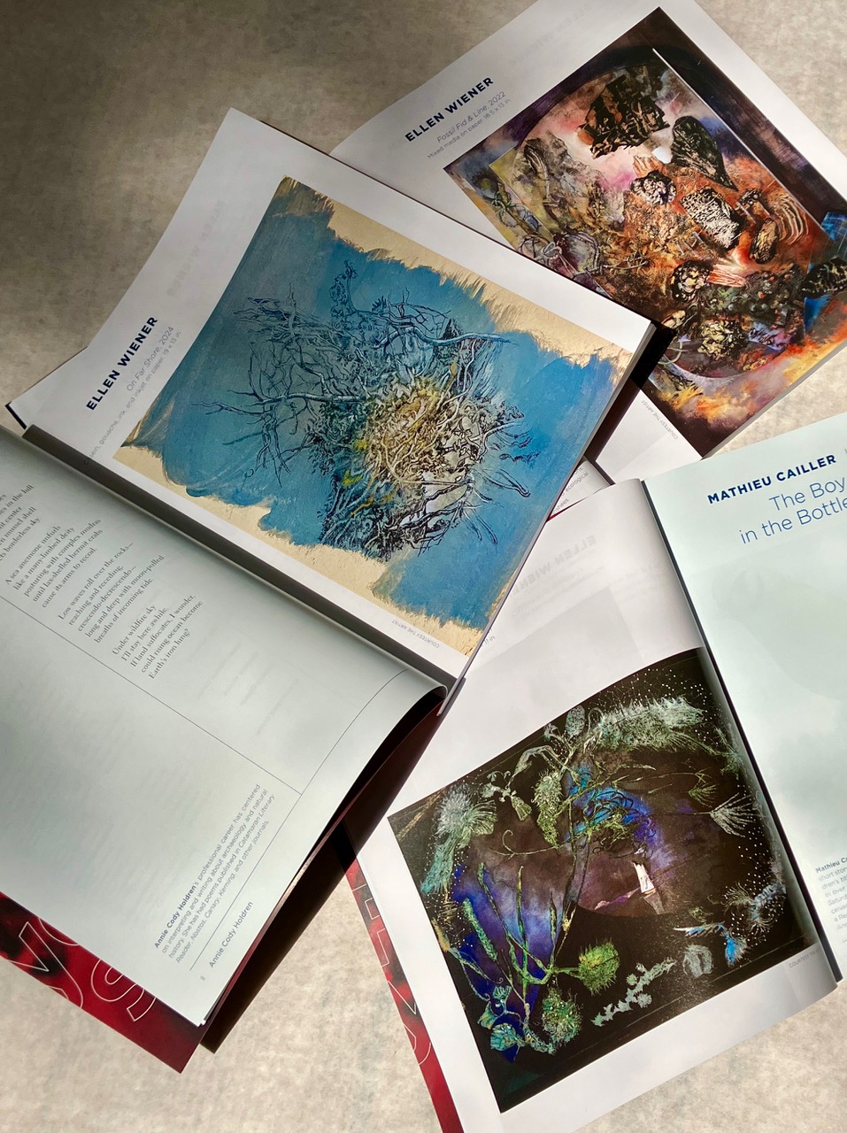 Catamaran Literary Reader. Summer Issue 48. Cover artist and inside image portfolio paired with short stories, essays and poems by contemporary writers